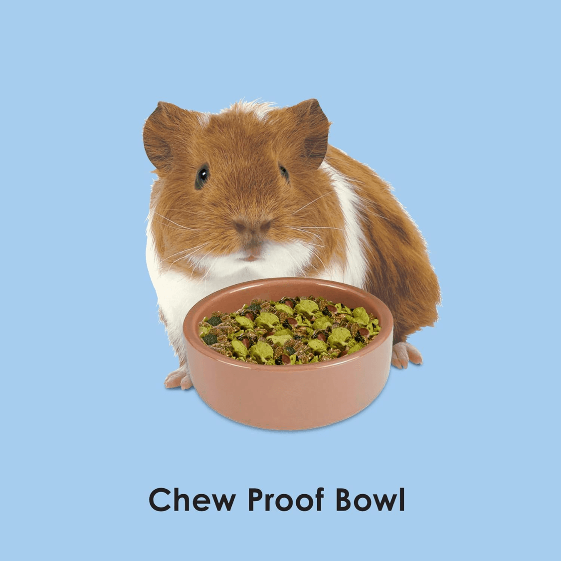 Ceramic Pet Hamster Bowl, Brown 4